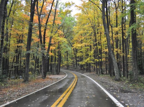 A winding road through a forest with vibrant autumn foliage and wet pavement after rain.