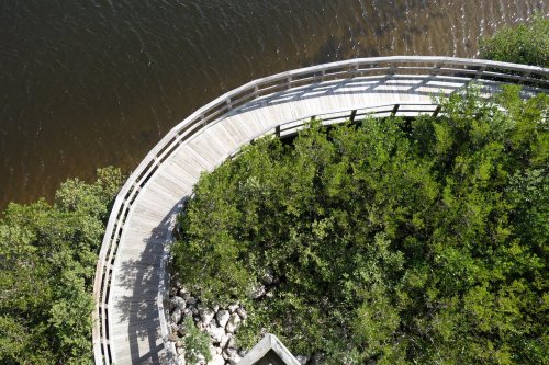Aerial view of a curved wooden boardwalk surrounded by lush greenery and a dark waterway.