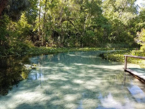 A serene, green landscape featuring a calm waterway surrounded by lush trees and vegetation.