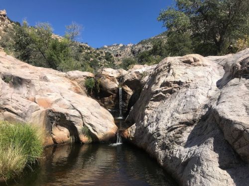 A serene landscape featuring a small waterfall cascading over rocks into a tranquil pool, surrounded by greenery and mountains.