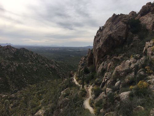 A winding trail through rocky terrain and desert vegetation, with mountains and a cloudy sky in the background.