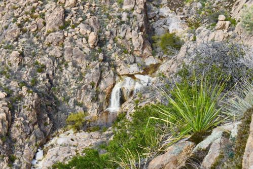 A rocky landscape with a small waterfall cascading down, surrounded by shrubs and desert vegetation.