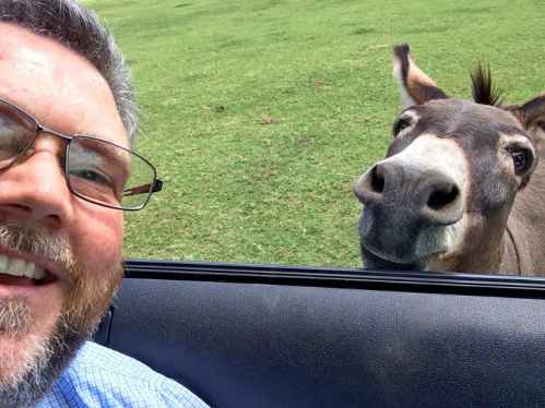 A man smiles for a selfie with a curious donkey peeking into the car window on a grassy field.