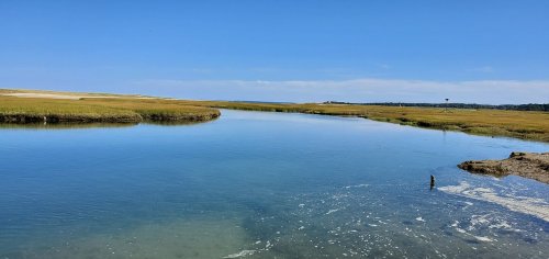 A serene river flows through grassy wetlands under a clear blue sky, with distant hills visible on the horizon.