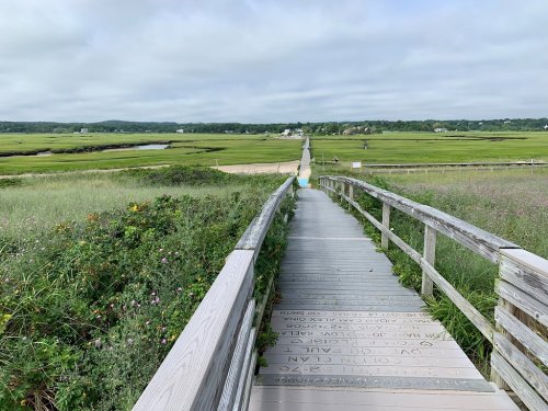 A wooden boardwalk leads through lush greenery to a scenic view of marshland and distant buildings under a cloudy sky.