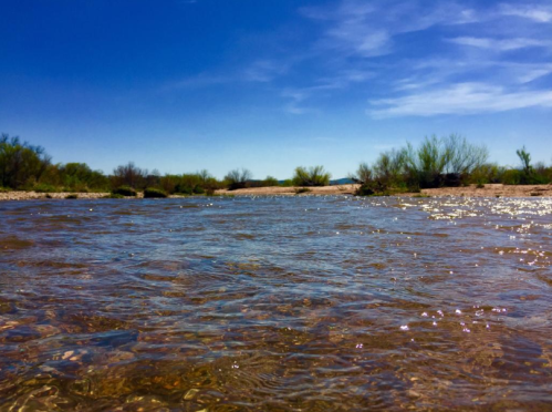 A serene river flows gently under a clear blue sky, surrounded by lush greenery and sandy banks.