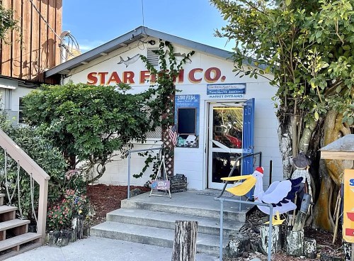 A quaint seafood market with a blue door, surrounded by greenery and colorful bird decorations.