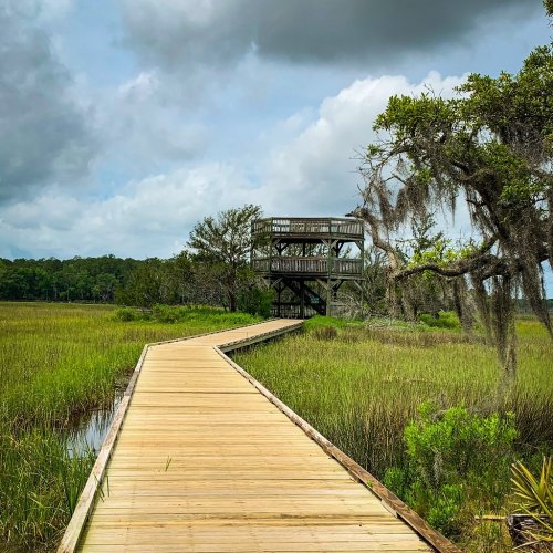A wooden boardwalk leads to a viewing tower surrounded by lush marshland and trees under a cloudy sky.