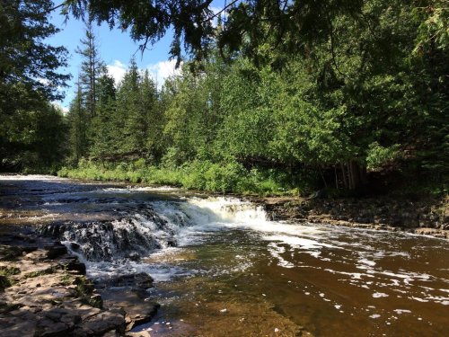 A serene river flows over rocks, surrounded by lush green trees under a bright blue sky.