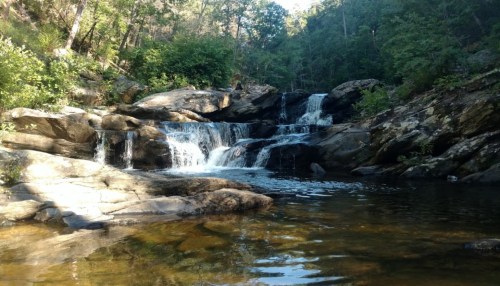 A serene waterfall cascades over rocks into a calm pool, surrounded by lush greenery and sunlight filtering through trees.