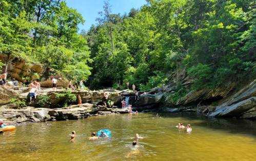 A sunny swimming hole surrounded by lush greenery, with people enjoying the water and relaxing on the rocks.