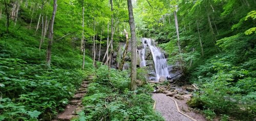 A serene forest scene featuring a cascading waterfall surrounded by lush greenery and a winding stone path.