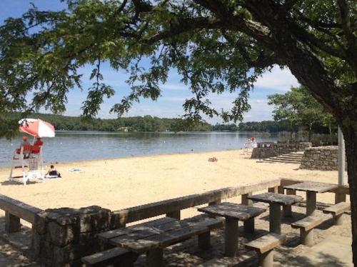 A sandy beach by a calm lake, with picnic tables, a lifeguard station, and trees providing shade.
