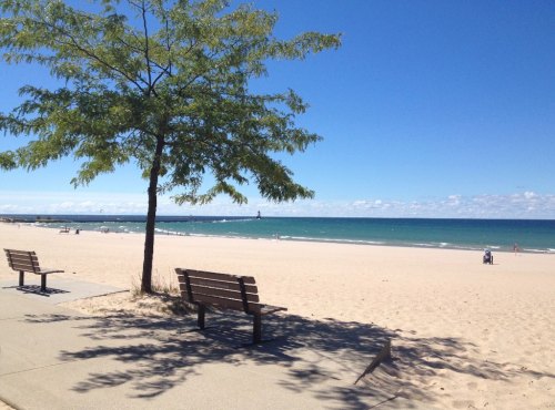 A serene beach scene with a tree, benches, and calm blue waters under a clear sky.