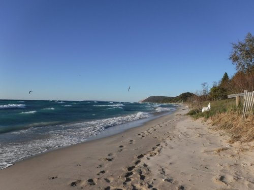 A serene beach scene with gentle waves, footprints in the sand, and a clear blue sky. Coastal vegetation in the background.