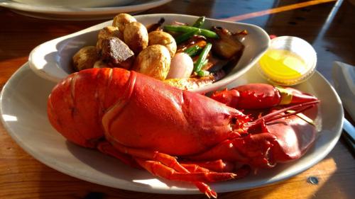 A plate featuring a whole red lobster, roasted potatoes, grilled vegetables, and a small container of melted butter.