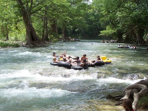 A group of people floating on inner tubes in a river surrounded by lush green trees on a sunny day.