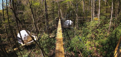 A wooden walkway connects treehouses in a lush forest, surrounded by greenery and tall trees.