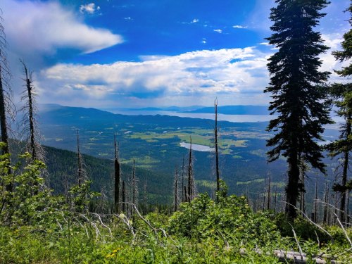 A scenic view of a lush valley and lake, framed by tall trees under a bright blue sky with scattered clouds.