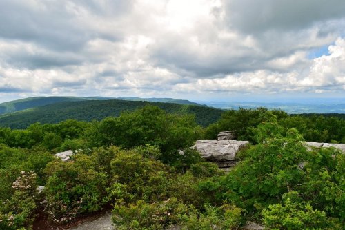 A scenic view of rolling green hills under a cloudy sky, with rocky outcrops and lush vegetation in the foreground.