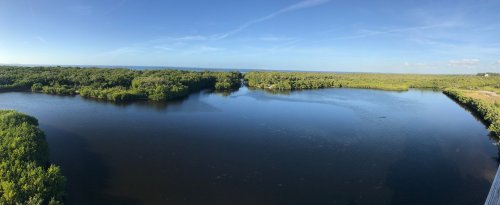 A serene view of a calm river surrounded by lush greenery under a clear blue sky.