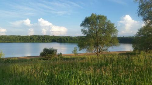 A serene lake surrounded by lush greenery and trees, with fluffy clouds in a blue sky reflecting on the water.