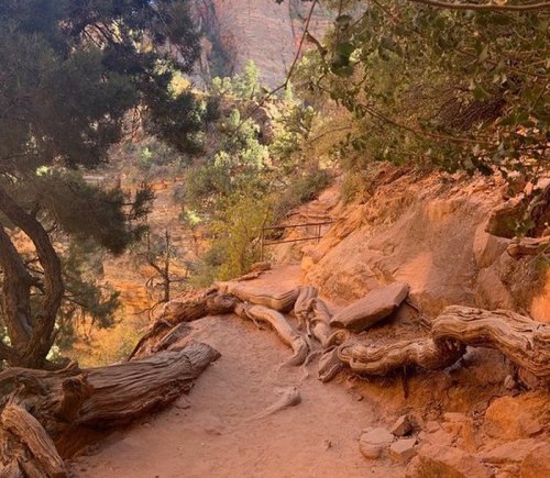 A winding dirt path through a rocky landscape, surrounded by trees and vibrant red rock formations.