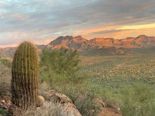 A scenic view of mountains at sunset, with a cactus in the foreground and lush greenery in the valley below.