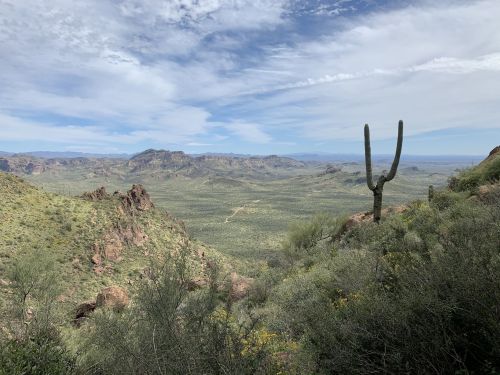 A scenic view of a desert landscape with mountains, cacti, and a cloudy sky in the background.