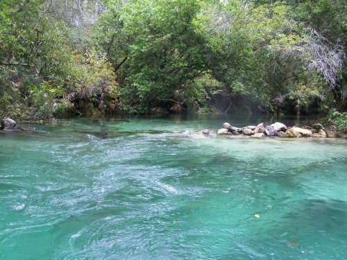 A serene river flows through lush greenery, with clear turquoise water and scattered rocks along the bank.