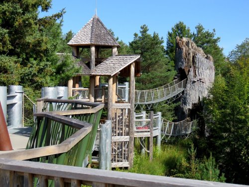 A wooden playground structure with a tower and a rope bridge, surrounded by trees and greenery.