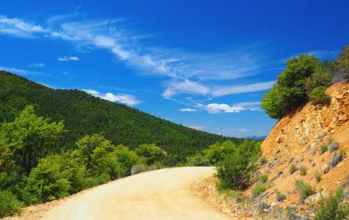 A winding dirt road curves through lush green hills under a bright blue sky with wispy clouds.