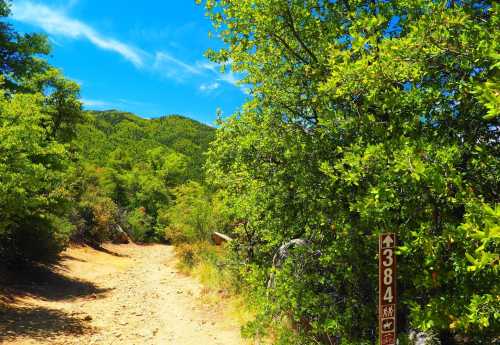 A dirt path leads through lush greenery, with a trail sign marked "384" and mountains in the background under a blue sky.