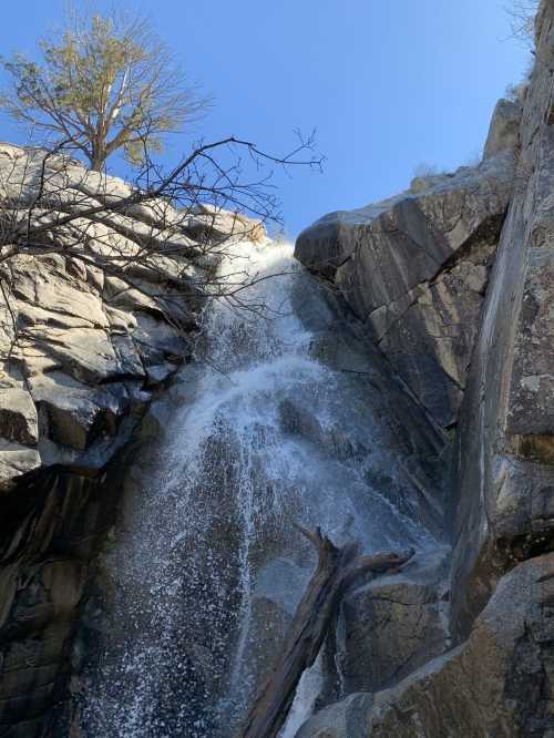 A waterfall cascading down rocky cliffs under a clear blue sky, with a tree perched on the edge above.