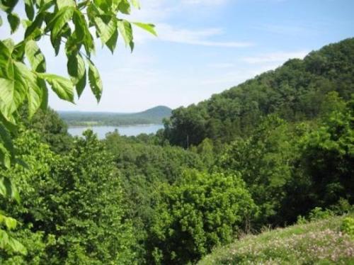 Lush green trees frame a scenic view of rolling hills and a river under a clear blue sky.
