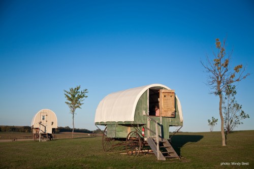 Two green covered wagons on a grassy field under a clear blue sky, with a tree in the background.