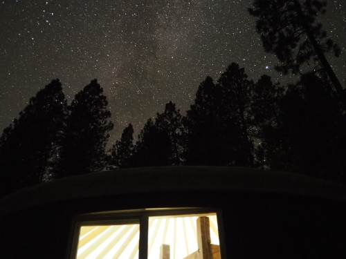 A cabin with a lit window under a starry night sky, surrounded by tall trees.