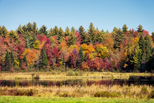 A serene lake reflects vibrant autumn foliage with trees in shades of red, orange, and yellow under a clear blue sky.