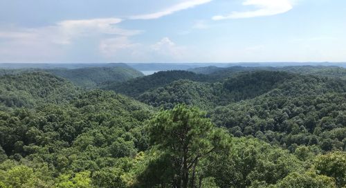A panoramic view of lush green hills and valleys under a blue sky with scattered clouds.