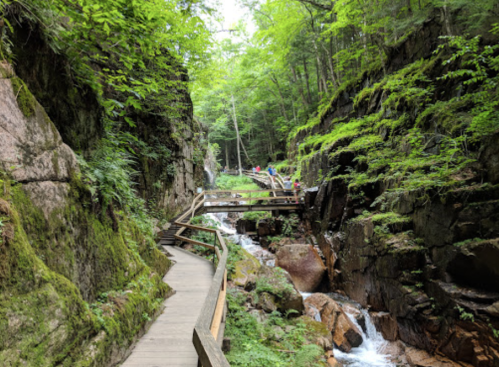 A wooden walkway winds through a lush green canyon with a stream and rocky terrain, surrounded by trees.
