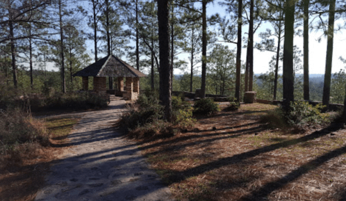 A stone gazebo surrounded by tall pine trees and a winding path in a serene outdoor setting.