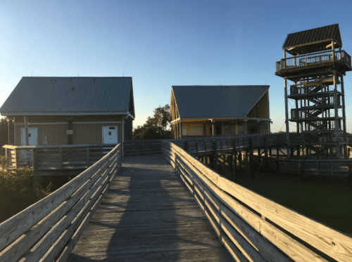 A wooden walkway leads to two buildings and a tall observation tower under a clear blue sky.
