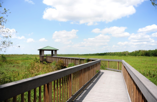 A wooden boardwalk leads to a gazebo overlooking a lush green marsh under a blue sky with fluffy clouds.
