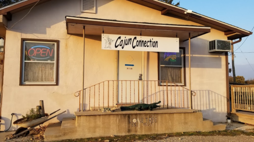 A small building with a sign reading "Cajun Connection" and an open neon sign, featuring a decorative alligator on the porch.