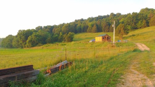 A small cabin on a grassy hillside, surrounded by trees, with a dirt path leading up to it.