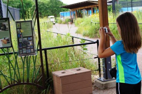A girl in a blue shirt takes a photo of an informational sign at a nature center surrounded by greenery.