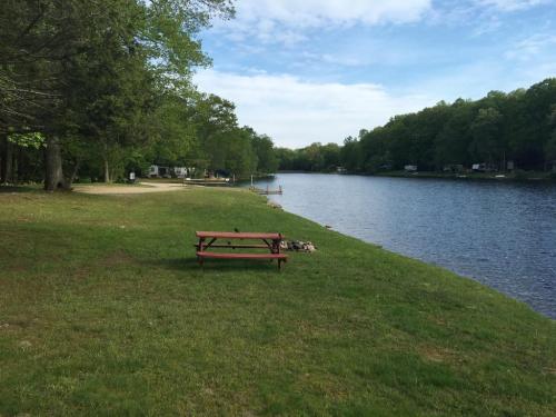 A peaceful lakeside scene with a red picnic table, green grass, and trees lining the water's edge under a blue sky.