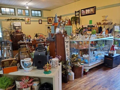 A cozy antique shop filled with various vintage items, glassware, plants, and decorative pieces on display.