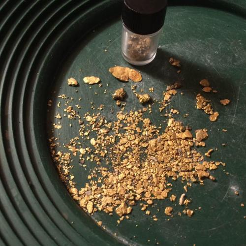 A green pan with scattered gold flakes and nuggets, alongside a small clear container holding more gold pieces.