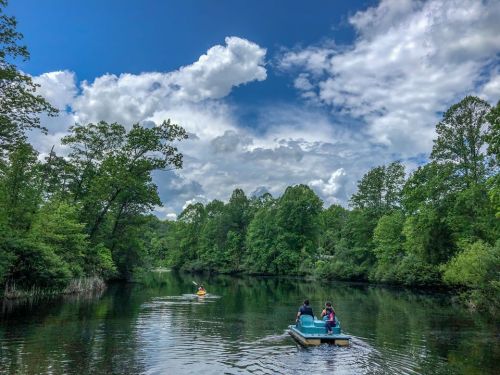 Two people paddle on a calm river surrounded by lush green trees and a bright blue sky with fluffy clouds.